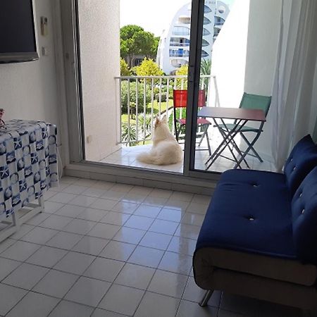 Vittoria Immobilier 6 -Reglement Sur Place - Cheques Vacances Acceptes ลา กร็องเดอ-ม็อต ภายนอก รูปภาพ